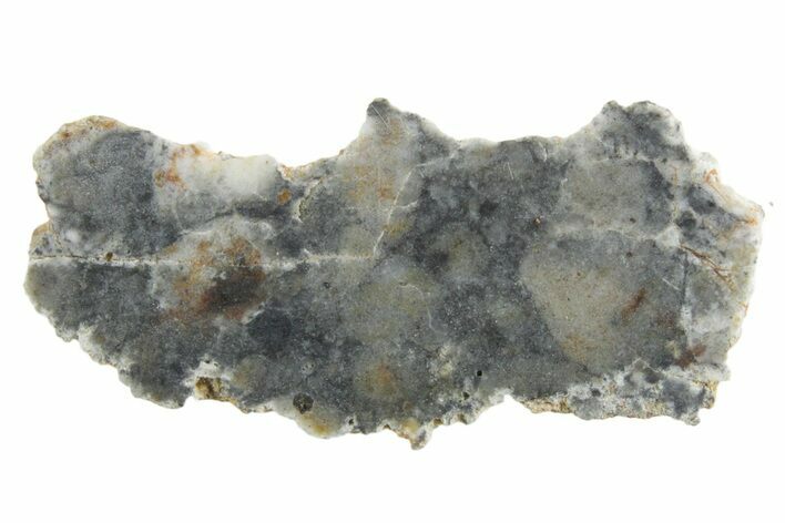 Lunar Meteorite ( g) Section - Bechar #348194